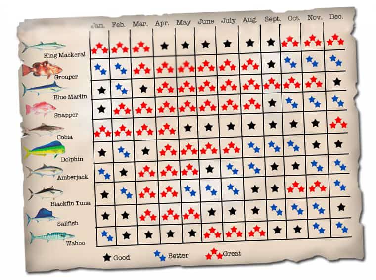 A chart showing the best months to catch certain types of fish.
