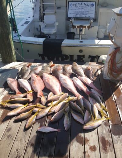 All of the fish they caught on Triple Time.